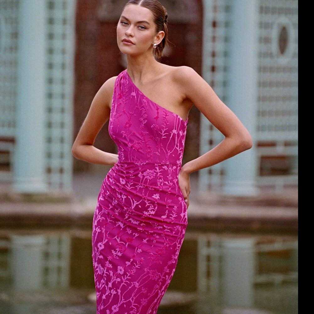 Anthropologie Hutch Monty One-Shoulder Ruched Velvet Dress Pink XL NWT